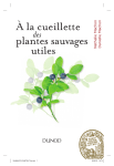 plantes sauvages utiles &Agrave; la cueillette
