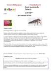 Sc&eacute;nario P&eacute;dagogique Projet Kidsmart Ecole maternelle Tabarly