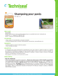 Shampoing pour pav&eacute;s, dalles et murets