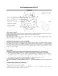 TYPE 18 - Rodania