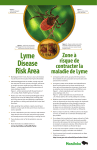 maladie de Lyme