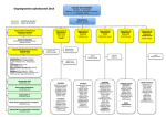 L`organigramme de la Fondation