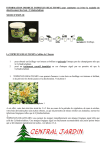 TOPBUXUS HEALTH web-site