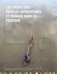 Les Droits des Peuples Autochtones et Tribaux dans la Pratique