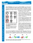 L`acide chlorhydrique : une solution dangereusem ent