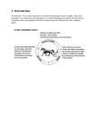 Polar Equine CS600X Mode d`emploi