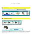 Mode d`emploi de phylogène
