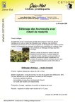 D&eacute;fanage des tournesols avec retard de maturit&eacute;