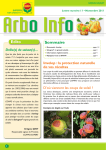 Invelop - COMPO EXPERT