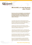 Microcr&eacute;dit, un coup de pouce pour l`avenir