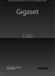 Gigaset E300