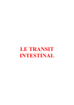 ALIMENTS FAVORISANT LE TRANSIT INTESTINAL