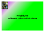 Pansements en fibres de carboxym&eacute;thylcellulose - Euro