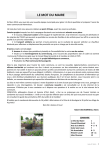 T&eacute;l&eacute;charger