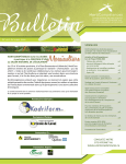 Bulletin Numéro 45 – Octobre 2015