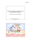 Mol&eacute;cules podocytaires impliqu&eacute;es dans les