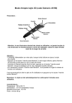 Mode d`emploi stylo 3D (code Gotronic 45190)