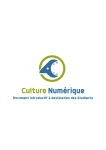 UE10-Culture numérique mode d`emploi