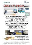 等温増幅PCR法 DNAble サルモネラ検出キット