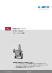 回転型アクチュエータ GS 50.3 &ndash; GS 250.3 フットとレバー装備