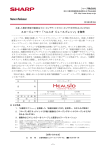 PDF版：673KB
