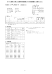 S100NT (受注生産)（PDF形式、160KB）