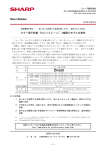 PDF版：828KB