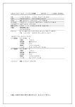 AES3100－＊2AT ハードウェア仕様書 （DSP ｸﾛｯｸ ＊・・・C