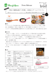 このリリースのPDFファイル