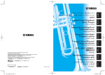 Downloads - Nippon Enterprises South