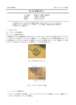 第1回(2004/04/22, 4.52MB, 17Page)