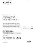 Professional Video Monitor