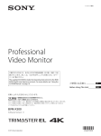 Professional Video Monitor