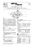 BT6-B 型サニタリー用 バランスプレッシャー式スチーム