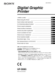 Digital Graphic Printer