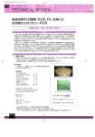 高成功率PCR酵素『KOD FX』を用いた 糸状菌からのコロニーPCR