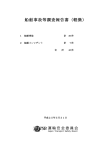 船舶事故等調査報告書（軽微）