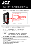 PDF形式