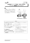 ノジューラー鋳鉄製フランジバルブ