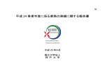 平成24事業年度に係る業務の実績に関する報告書 （PDF