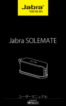 Jabra SOLEMATE