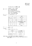 Sun瓦 Xトップ(上塗り)（PDF形式/23KB）