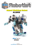 Biped Walking Robot
