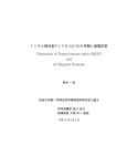 “トンネル接合型マイクロSQUIDの開発と磁場応答”(PDF