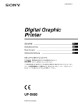 Digital Graphic Printer