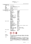 化学物質等安全データシート エタノール