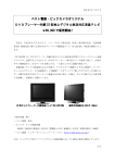 ベスト電器・ビックカメラオリジナル ビックカメラオリジナル ビックカメラ