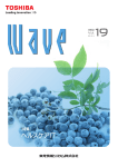 Wave Vol.19 - 東芝情報システム株式会社