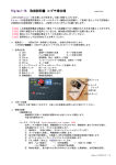Higlasi-1A 取扱説明書 ヒグチ様仕様