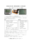 RT-30 - RSダイナミックス・ジャパン